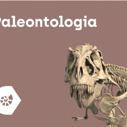 Oprogramowanie CORINTH Paleontologia i Kultura